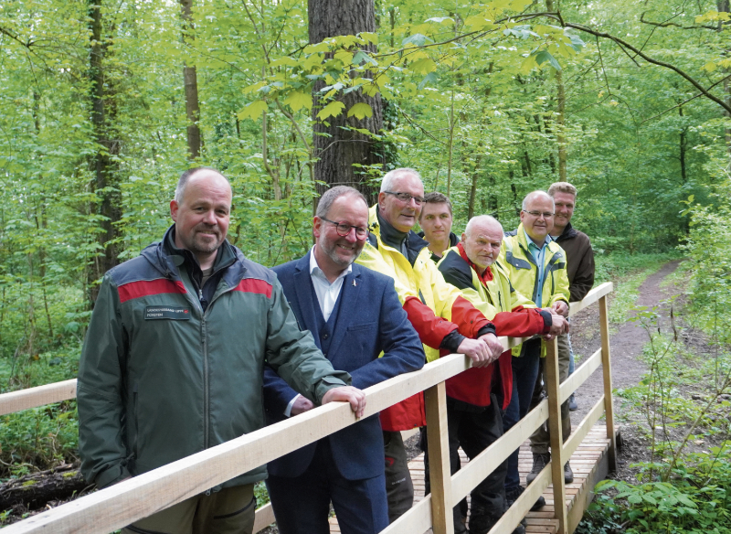 Neue Eichenbrücke am Schlänger Haverkampsee