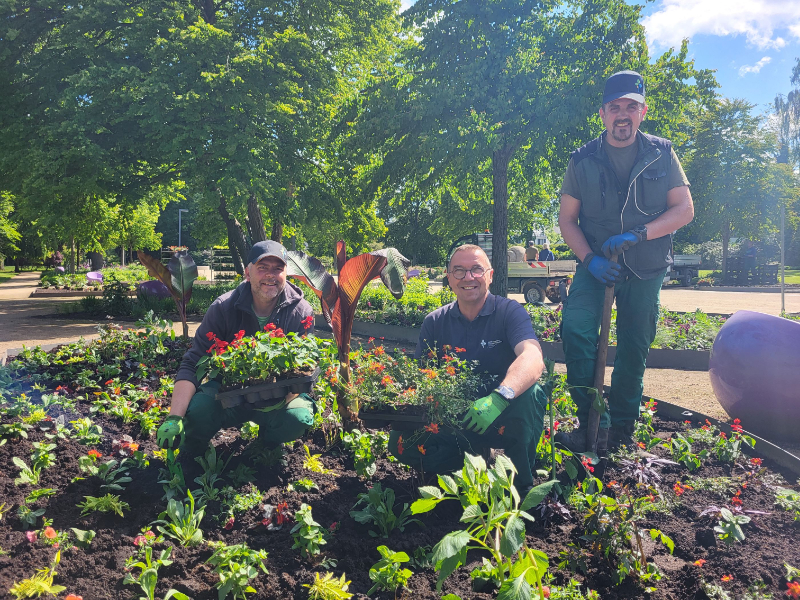 Exotischer Sommer in der Gartenschau